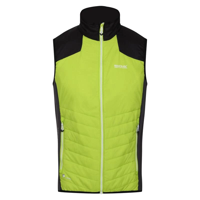 Regatta Halton VI Gilet Chauffant Léger Pour Homme 3 Regatta Halton VI Gilet Chauffant Léger Pour Homme – Image 3