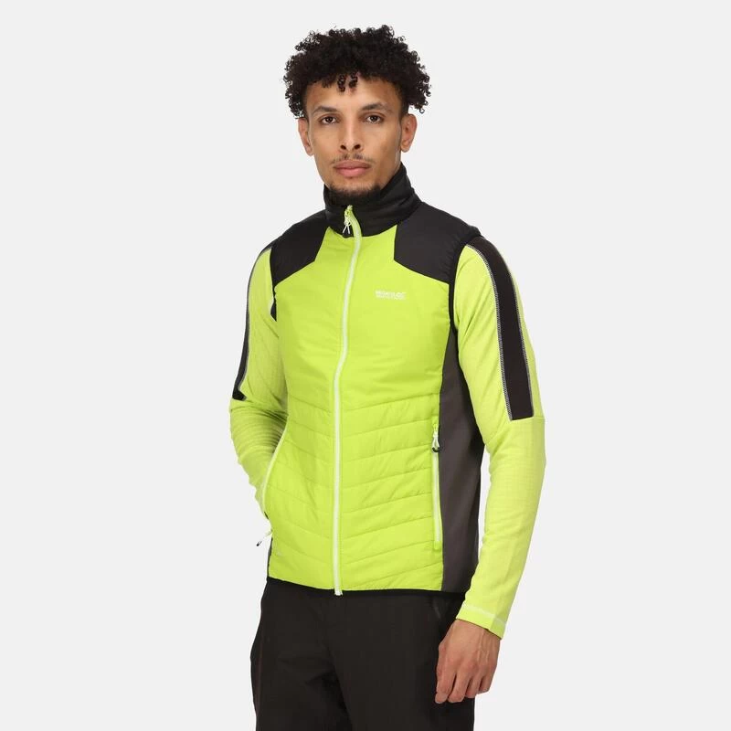 Regatta Halton VI Gilet Chauffant Léger Pour Homme 5 Regatta Halton VI Gilet Chauffant Léger Pour Homme – Image 5