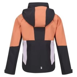 Alternative view of Regatta Haydenbury Enfant Marche Veste Softshell