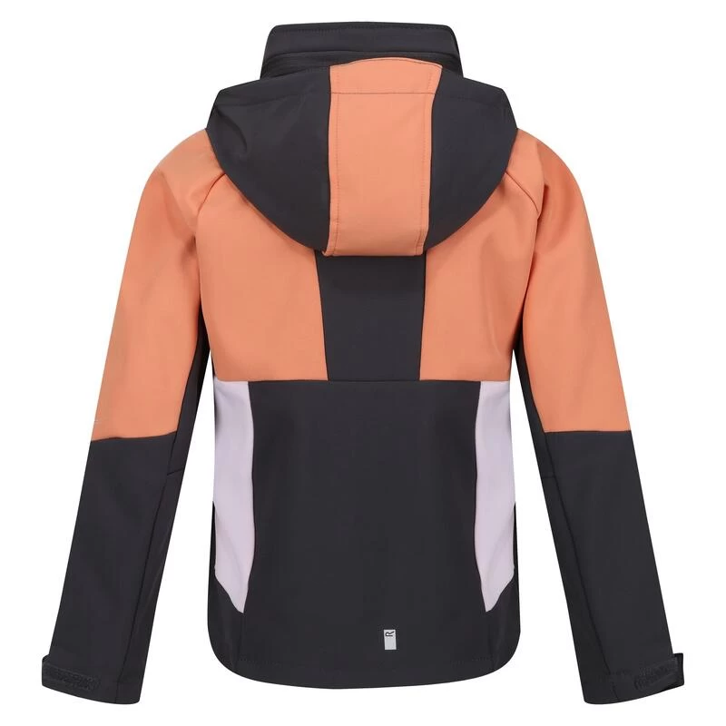 Regatta Haydenbury Enfant Marche Veste Softshell 2 Regatta Haydenbury Enfant Marche Veste Softshell – Image 2