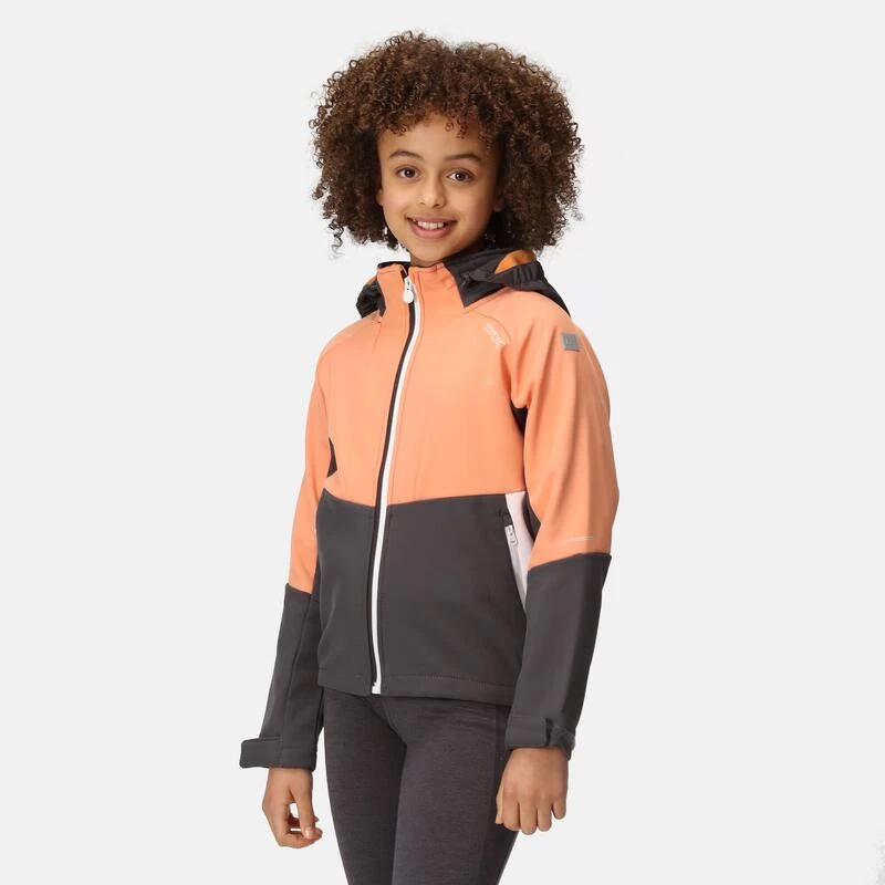 Regatta Haydenbury Enfant Marche Veste Softshell 4 Regatta Haydenbury Enfant Marche Veste Softshell – Image 4