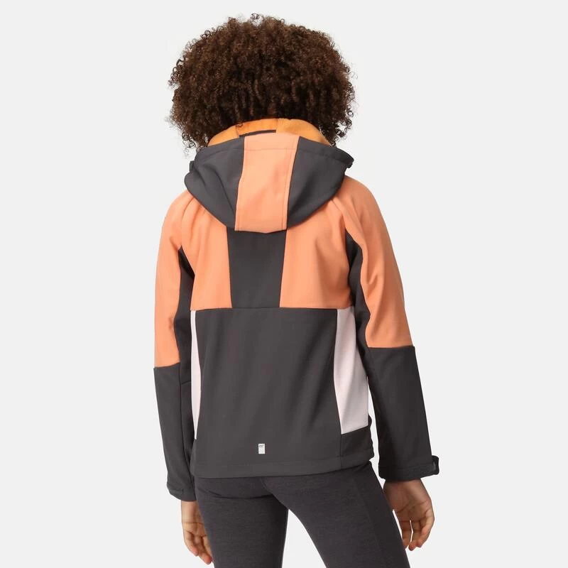 Regatta Haydenbury Enfant Marche Veste Softshell 5 Regatta Haydenbury Enfant Marche Veste Softshell – Image 5