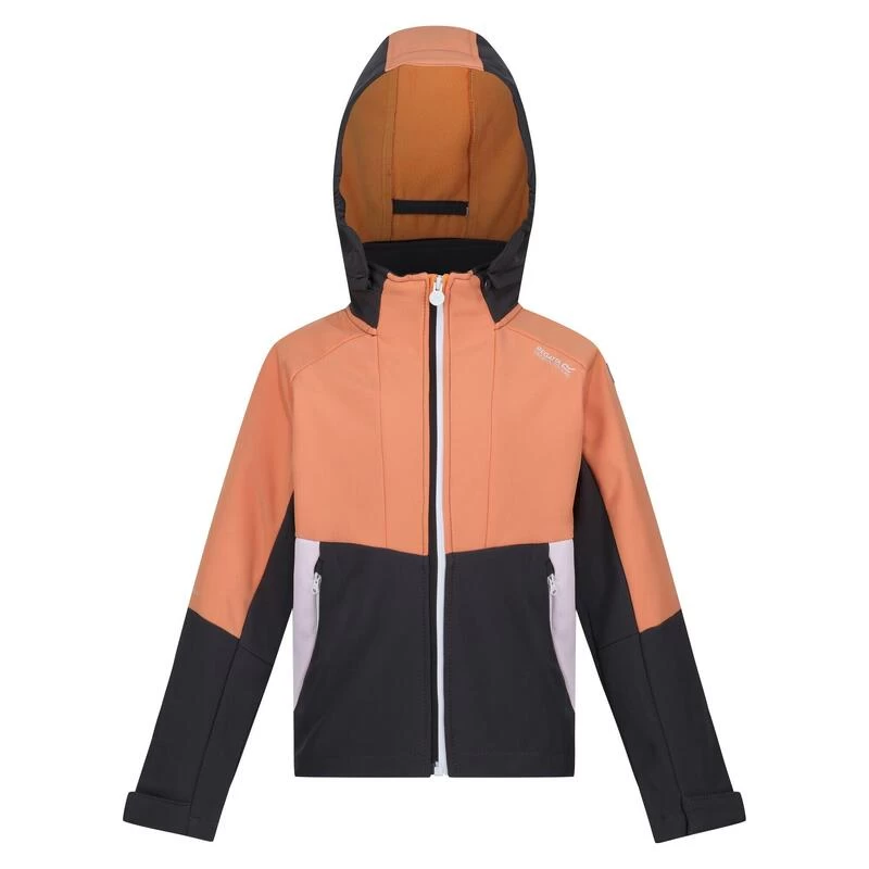 Regatta Haydenbury Enfant Marche Veste Softshell 1 Regatta Haydenbury Enfant Marche Veste Softshell