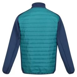 Regatta Veste CLUMBER Homme (Sarcelle / Bleu Amiral) 6 Regatta Veste CLUMBER Homme (Sarcelle / Bleu Amiral) -Regatta Boutique veste clumber homme sarcelle bleu amiral 1